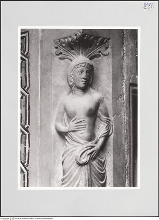 Vorderseite von Sigismondi, Roberto [http://creativecommons.org/licenses/by-nc-sa/4.0/] Propheten mit Schriftrollen, allegorische Figuren und Personifikationen der Sibyllen - Unterbau, Ecke mit Sibylle (?), bh556794_recto. Foto: Sigismondi, Roberto.