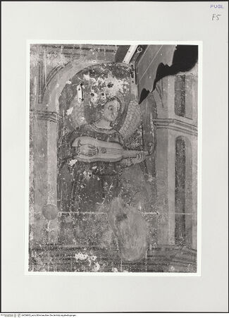 Vorderseite von bh556863_recto