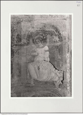 Vorderseite von bh556865_recto