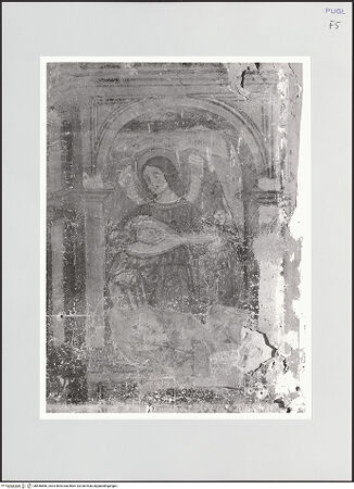 Vorderseite von bh556866_recto