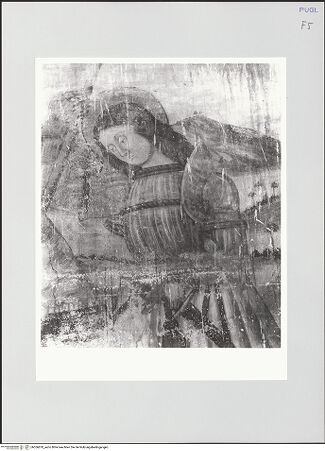 Vorderseite von bh556870_recto