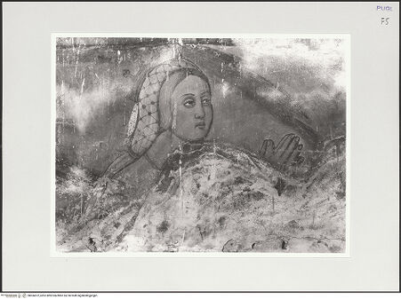 Vorderseite von bh556872_recto