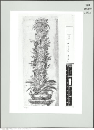 Vorderseite von bh557204_recto