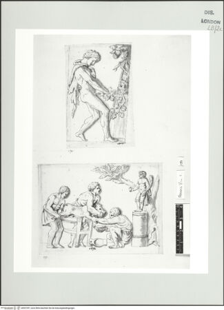 Vorderseite von bh557397_recto