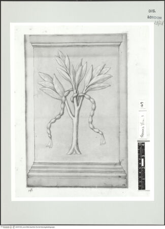 Vorderseite von bh557424_recto