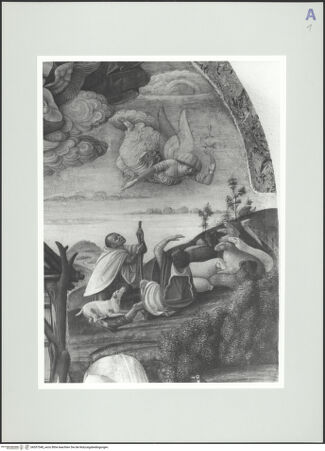 Vorderseite von bh557548_recto