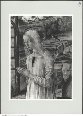 Vorderseite von bh557549_recto