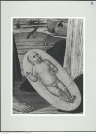 Vorderseite von bh557550_recto