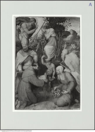 Vorderseite von bh557556_recto