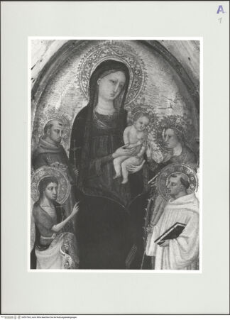 Vorderseite von bh557565_recto