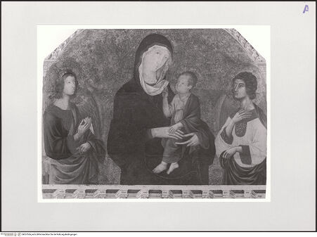 Vorderseite von bh557566_recto