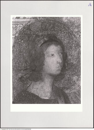 Vorderseite von bh557568_recto