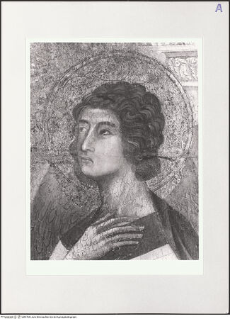 Vorderseite von bh557569_recto