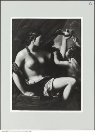 Vorderseite von bh557587_recto