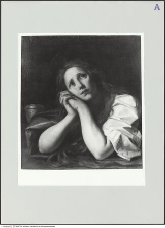 Vorderseite von bh557598_recto