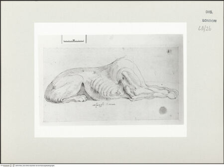 Vorderseite von bh557660_recto