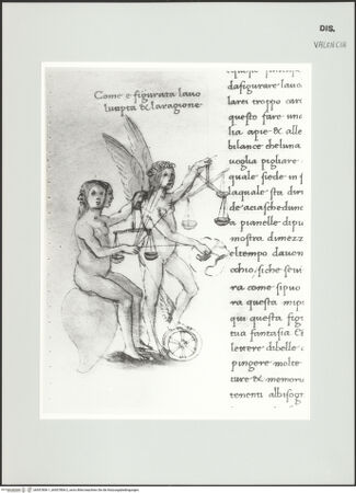 Vorderseite von bh557806-1_bh557806-2_recto