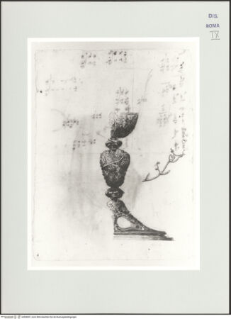 Vorderseite von bh558097_recto