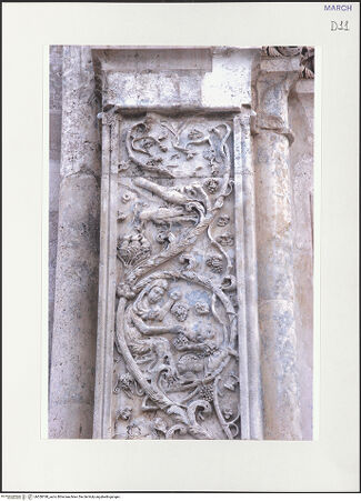 Vorderseite von bh558188_recto