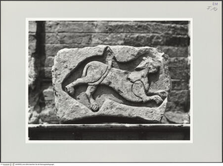 Vorderseite von bh558303_recto