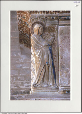 Vorderseite von bh558315_recto