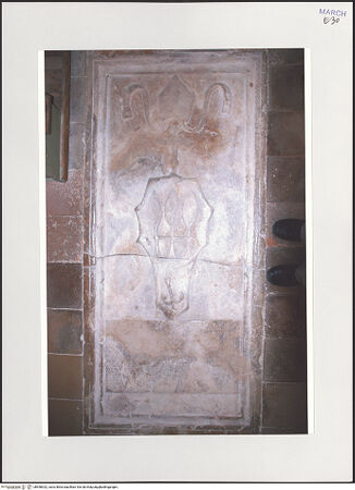 Vorderseite von bh558332_recto