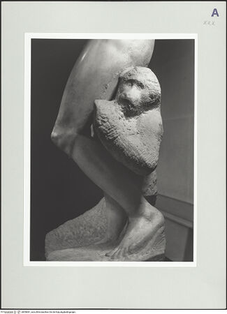 Vorderseite von bh558381_recto