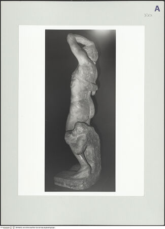 Vorderseite von bh558382_recto