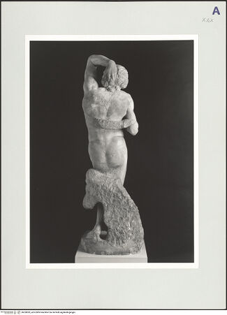 Vorderseite von bh558383_recto