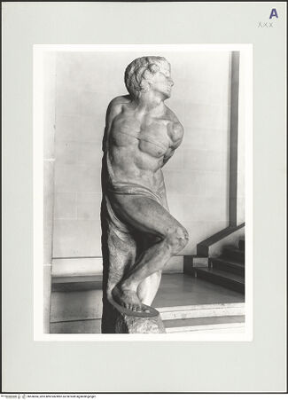 Vorderseite von bh558384_recto