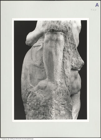 Vorderseite von bh558386_recto