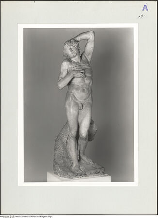 Vorderseite von bh558387_recto