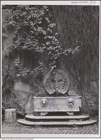 Vorderseite von bh558538_recto