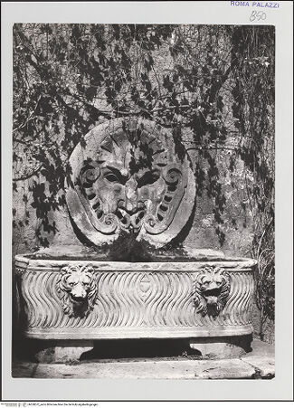 Vorderseite von bh558572_recto