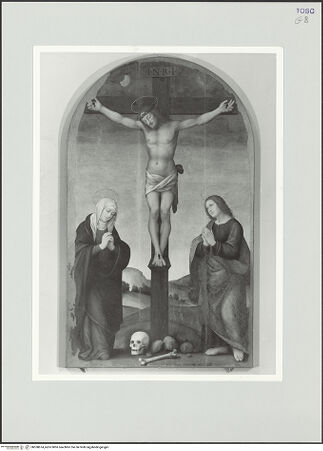 Vorderseite von bh558674_recto