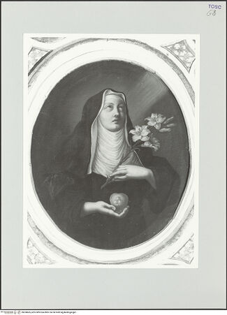 Vorderseite von bh558685_recto