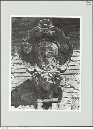 Vorderseite von bh558694_recto