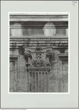 Vorderseite von bh558729_recto