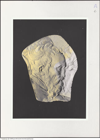 Vorderseite von bh558858_recto