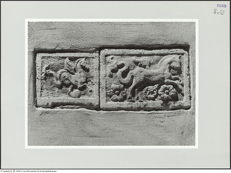 Vorderseite von bh559115_recto