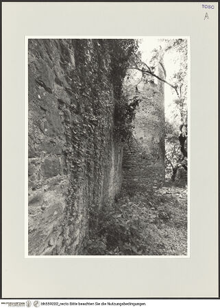 Vorderseite von bh559202_recto