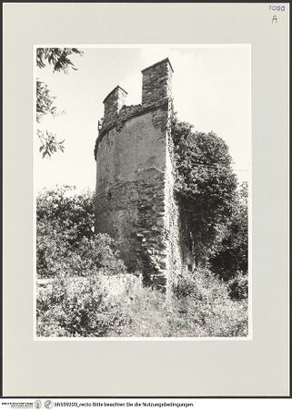 Vorderseite von bh559203_recto