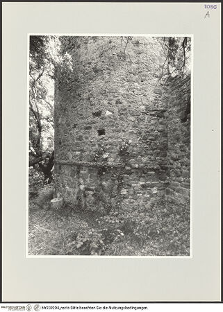 Vorderseite von bh559204_recto