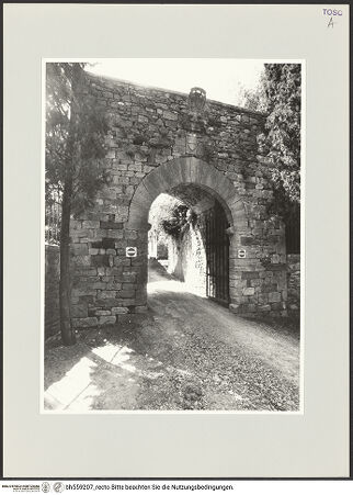 Vorderseite von bh559207_recto