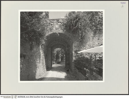 Vorderseite von bh559208_recto