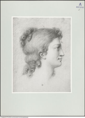 Vorderseite von bh559302_recto