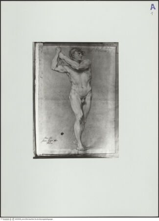 Vorderseite von bh559306_recto