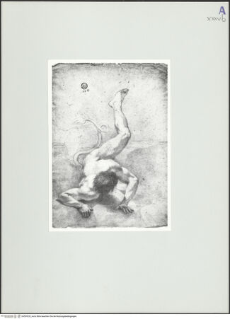 Vorderseite von bh559320_recto