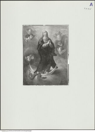 Vorderseite von bh559353_recto