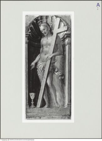 Vorderseite von bh559396_recto